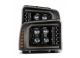 Alpha Rex 880318 Pro-Series Projector Headlights