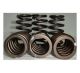 PacBrake C14010 60PSI Heavy Duty Valve Springs - qty 6