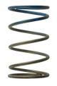 Turbosmart TS-0505-2005 Gen4 IWG WG38/40/45/50L 10PSI OUTER SPRING – BROWN/BLUE