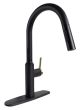 Valterra PF231780 Premium Slimline Faucet Black